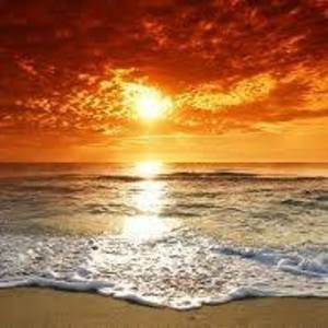 Meet your Posher, Mohamed